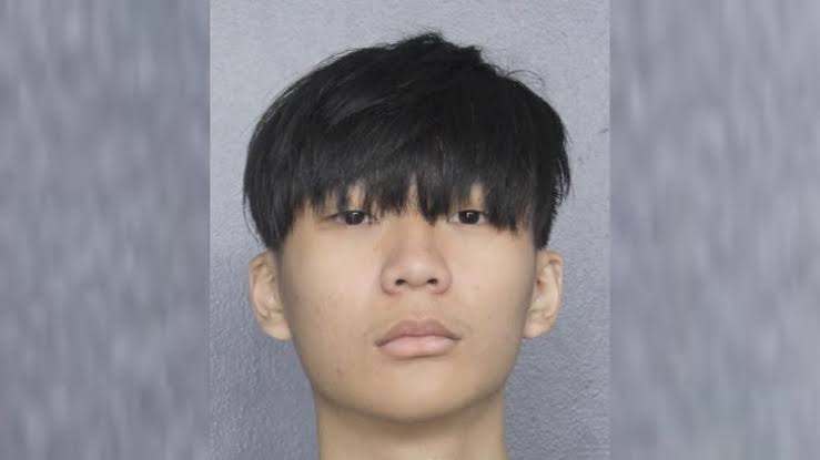 SINGAPOREAN MAN PLEADS GUILTY IN US TO $245M BITCOIN THEFT AND MONEY-LAUNDERING SCHEME ARTICLE